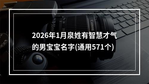 2026年1月泉姓有智慧才气的男宝宝名字(通用571个)