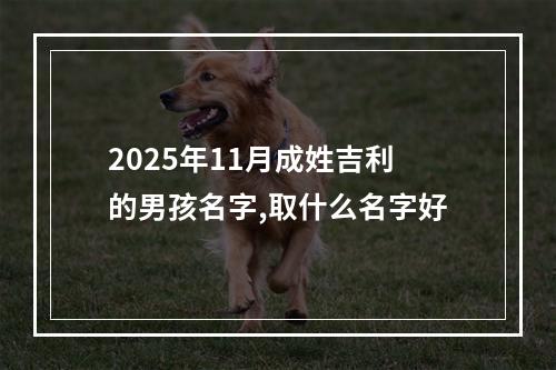 2025年11月成姓吉利的男孩名字,取什么名字好