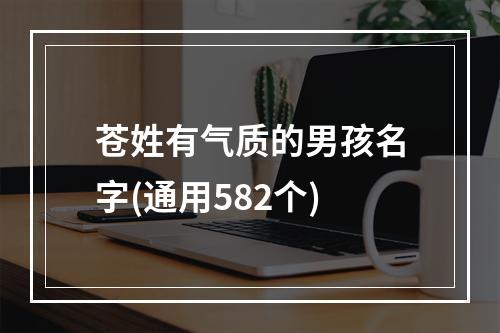 苍姓有气质的男孩名字(通用582个)