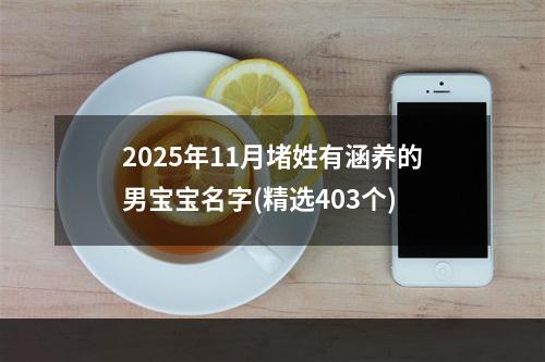 2025年11月堵姓有涵养的男宝宝名字(精选403个)