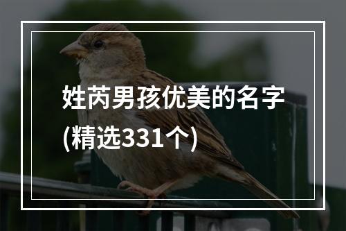 姓芮男孩优美的名字(精选331个)