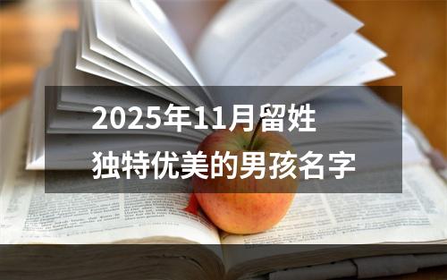2025年11月留姓独特优美的男孩名字