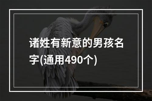 诸姓有新意的男孩名字(通用490个)