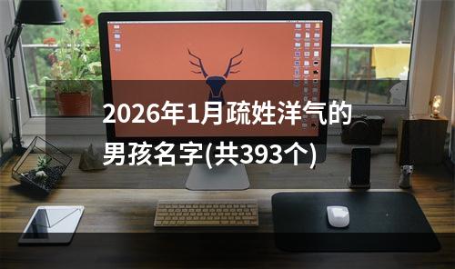 2026年1月疏姓洋气的男孩名字(共393个)