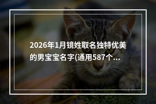 2026年1月镜姓取名独特优美的男宝宝名字(通用587个)