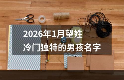 2026年1月望姓冷门独特的男孩名字