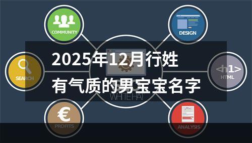 2025年12月行姓有气质的男宝宝名字