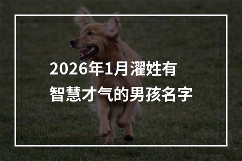 2026年1月濯姓有智慧才气的男孩名字