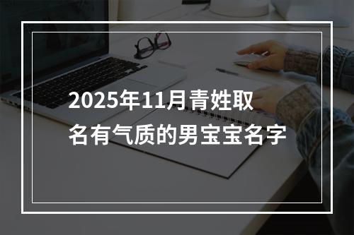 2025年11月青姓取名有气质的男宝宝名字