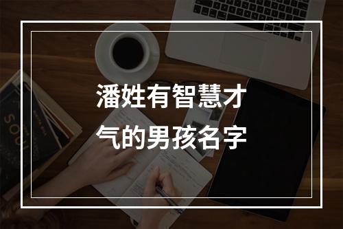 潘姓有智慧才气的男孩名字