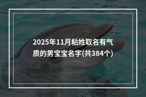 2025年11月粘姓取名有气质的男宝宝名字(共384个)