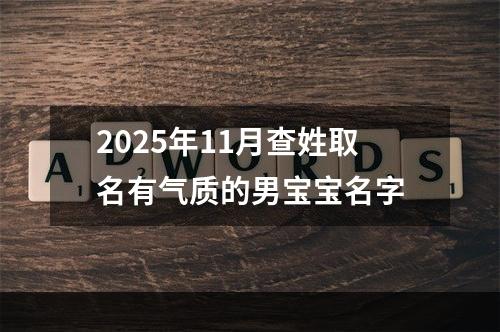 2025年11月查姓取名有气质的男宝宝名字