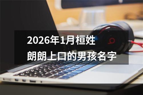 2026年1月桓姓朗朗上口的男孩名字