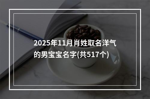 2025年11月肖姓取名洋气的男宝宝名字(共517个)