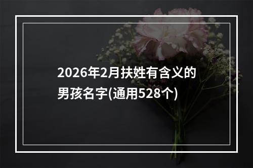 2026年2月扶姓有含义的男孩名字(通用528个)