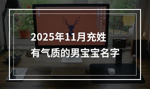 2025年11月充姓有气质的男宝宝名字