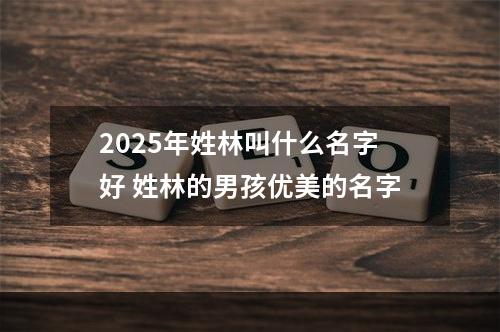 2025年姓林叫什么名字好 姓林的男孩优美的名字