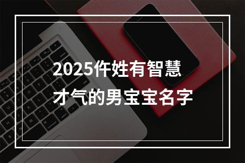 2025仵姓有智慧才气的男宝宝名字