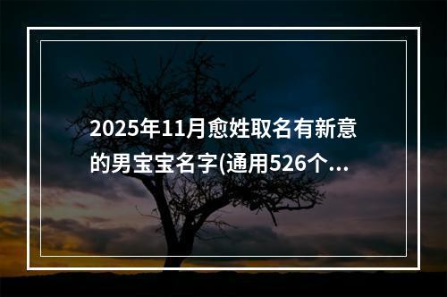 2025年11月愈姓取名有新意的男宝宝名字(通用526个)