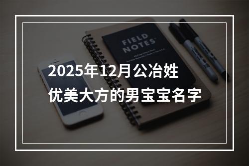 2025年12月公冶姓优美大方的男宝宝名字