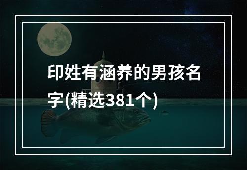 印姓有涵养的男孩名字(精选381个)