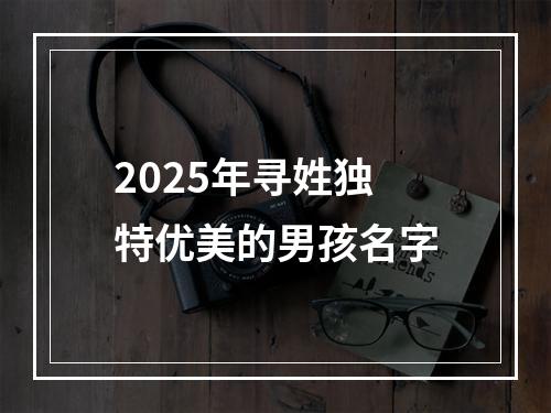 2025年寻姓独特优美的男孩名字