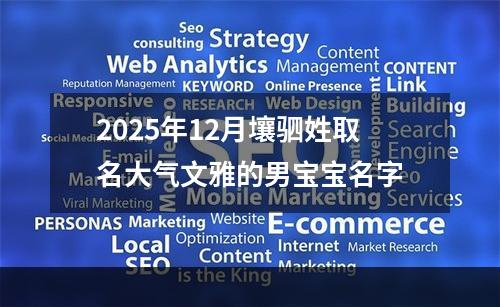 2025年12月壤驷姓取名大气文雅的男宝宝名字