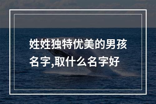 姓姓独特优美的男孩名字,取什么名字好