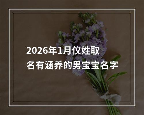 2026年1月仪姓取名有涵养的男宝宝名字