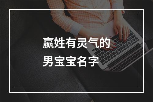 嬴姓有灵气的男宝宝名字