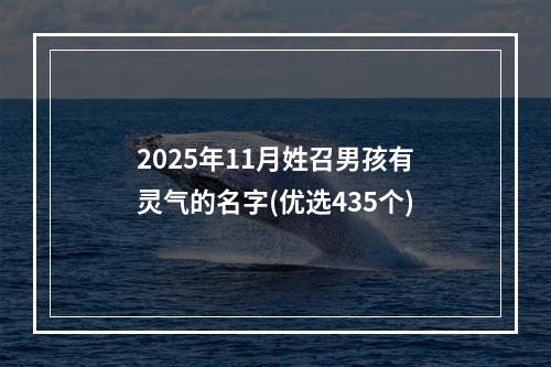 2025年11月姓召男孩有灵气的名字(优选435个)