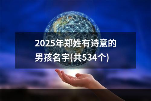 2025年郑姓有诗意的男孩名字(共534个)