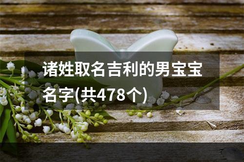 诸姓取名吉利的男宝宝名字(共478个)