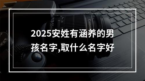 2025安姓有涵养的男孩名字,取什么名字好