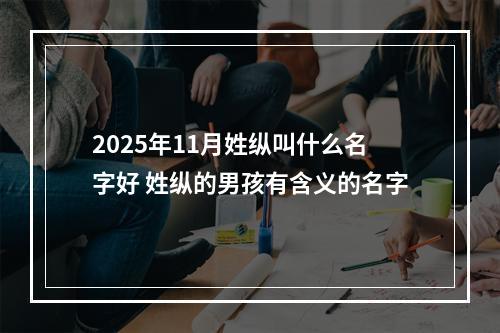2025年11月姓纵叫什么名字好 姓纵的男孩有含义的名字