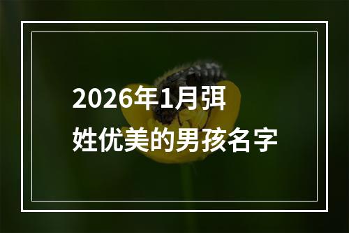 2026年1月弭姓优美的男孩名字
