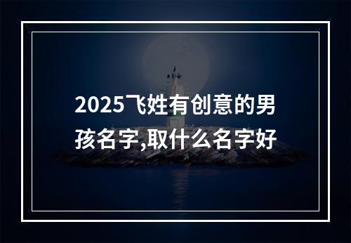 2025飞姓有创意的男孩名字,取什么名字好