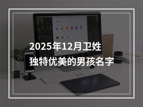 2025年12月卫姓独特优美的男孩名字