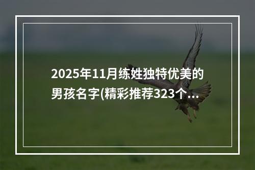 2025年11月练姓独特优美的男孩名字(精彩推荐323个)