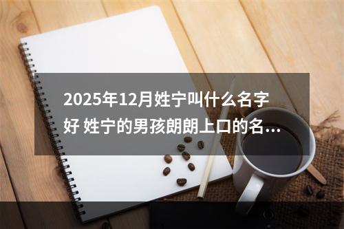 2025年12月姓宁叫什么名字好 姓宁的男孩朗朗上口的名字