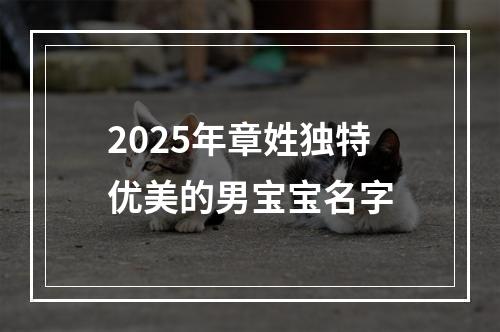 2025年章姓独特优美的男宝宝名字