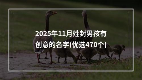 2025年11月姓封男孩有创意的名字(优选470个)
