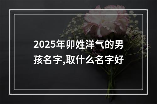 2025年卯姓洋气的男孩名字,取什么名字好
