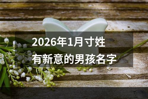 2026年1月寸姓有新意的男孩名字
