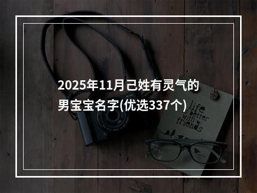 2025年11月己姓有灵气的男宝宝名字(优选337个)