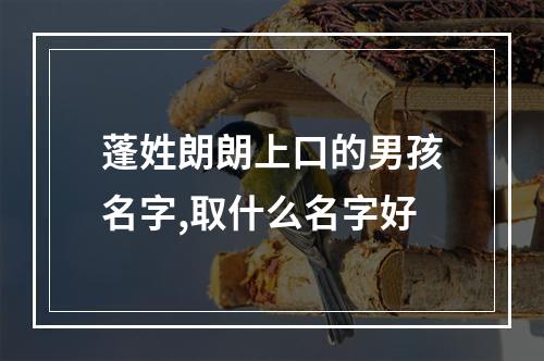 蓬姓朗朗上口的男孩名字,取什么名字好