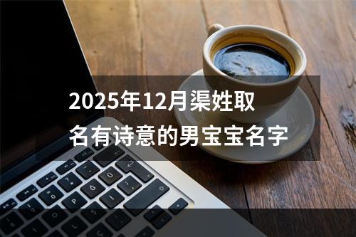 2025年12月渠姓取名有诗意的男宝宝名字