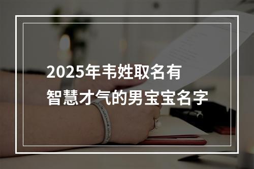 2025年韦姓取名有智慧才气的男宝宝名字