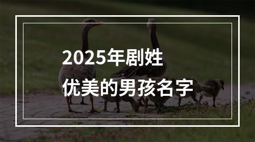 2025年剧姓优美的男孩名字