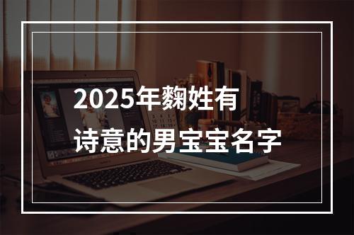 2025年麴姓有诗意的男宝宝名字